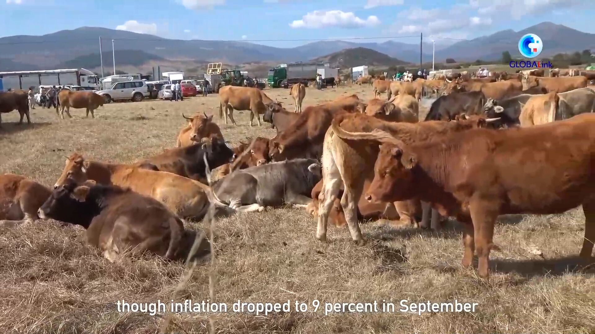 GLOBALink : ภาวะราคาพุ่งกระทบ 'เกษตรกรเลี้ยงสัตว์' ในสเปน