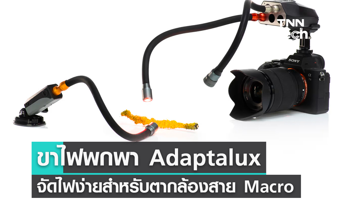 ขาไฟพกพา Adaptalux Pod Mini จัดไฟง่ายสำหรับตากล้องสาย Macro