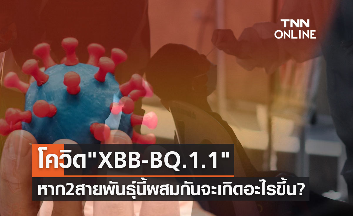 จับตาโควิดสายพันธุ์ย่อย "XBB-BQ.1.1" หากไวรัส 2 สายพันธุ์นี้ผสมกันจะเกิดอะไรขึ้น?
