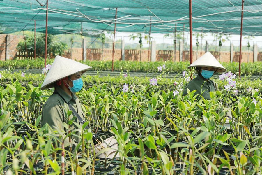 'เวียดนาม' ส่งออก 'ไม้' โต 11.4% ช่วง 10 เดือนแรก