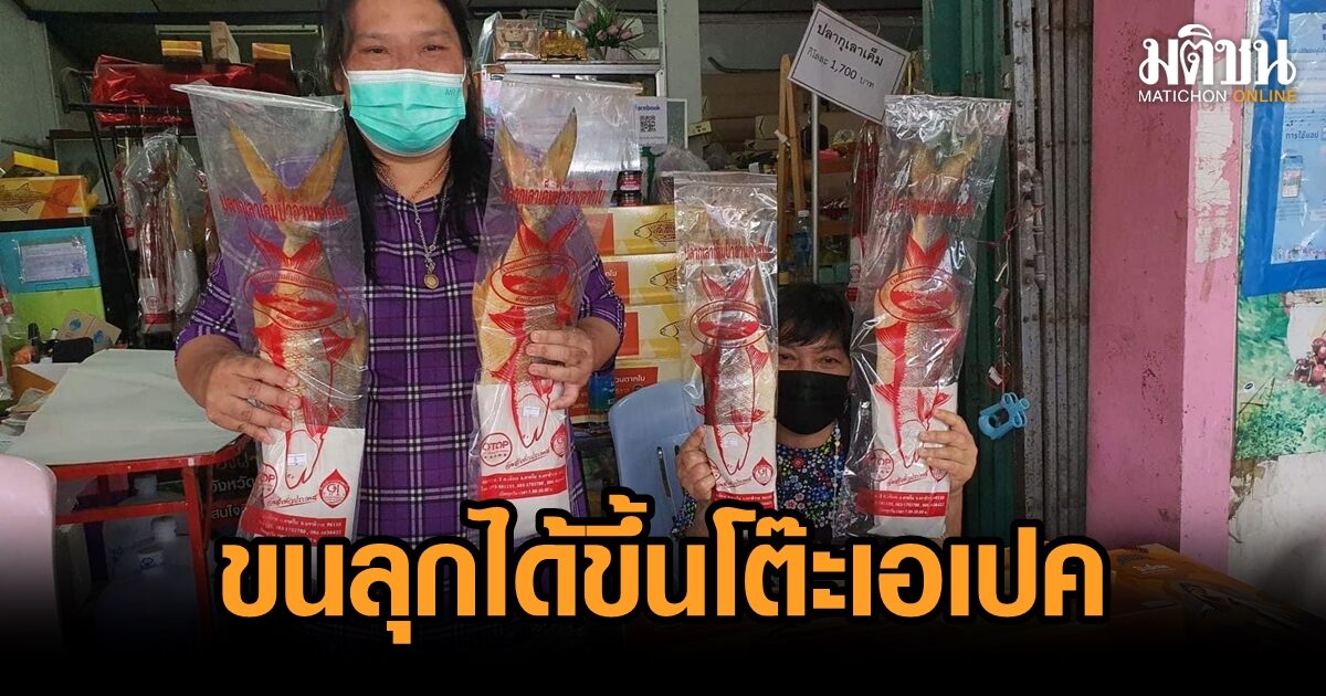 ป้าอ้วนตากใบ ขนลุก ปลายสายสั่งซื้อกุเลา เสิร์ฟโต๊ะเอเปค ปลื้มส่งต่อความอร่อยผู้นำโลก