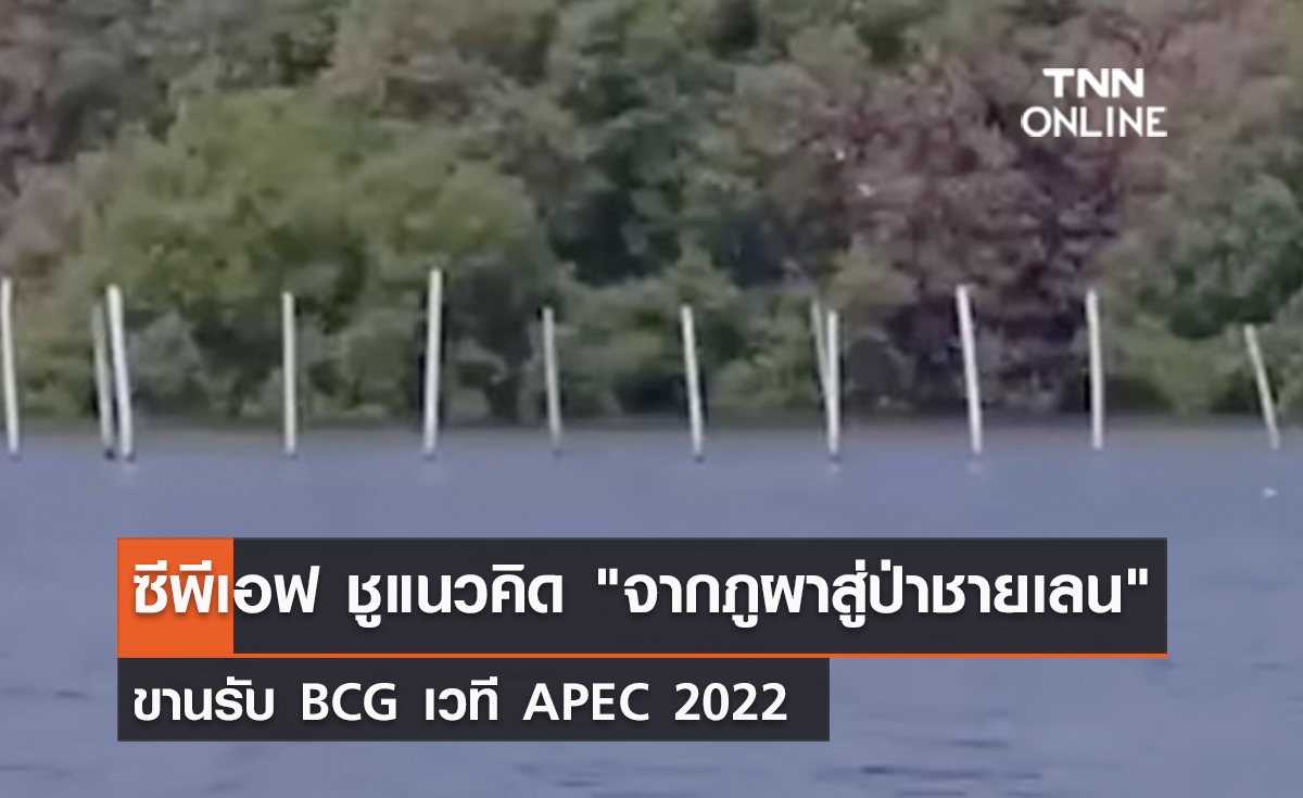 (คลิป) ซีพีเอฟ ชูแนวคิด "จากภูผาสู่ป่าชายเลน" ขานรับ BCG เวที APEC 2022