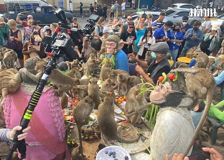 งานเลี้ยงโต๊ะจีนลิงที่ลพบุรี สุดคึกคัก ได้รับความสนใจจากนทท. สื่อไทย ต่างชาติ ล้นหลาม!