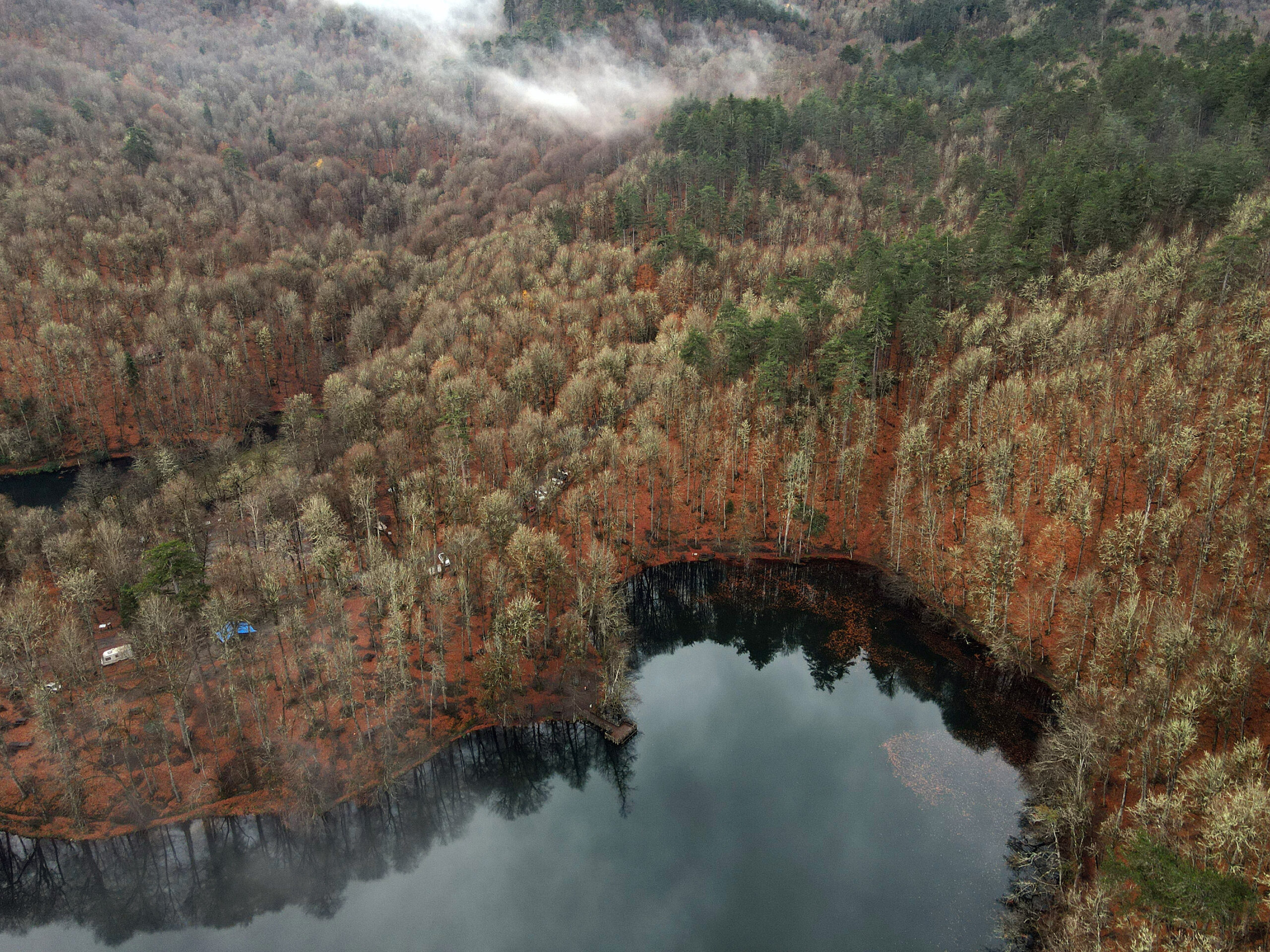 ส่องมุมสูง 'ป่าปลายใบไม้ร่วง' ในตุรกี