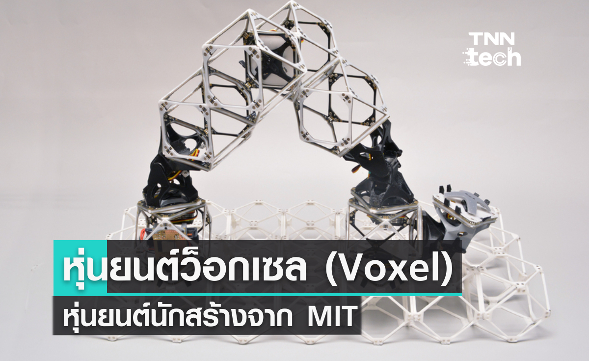หุ่นยนต์ว็อกเซล (Voxel) หุ่นยนต์นักสร้างจาก MIT