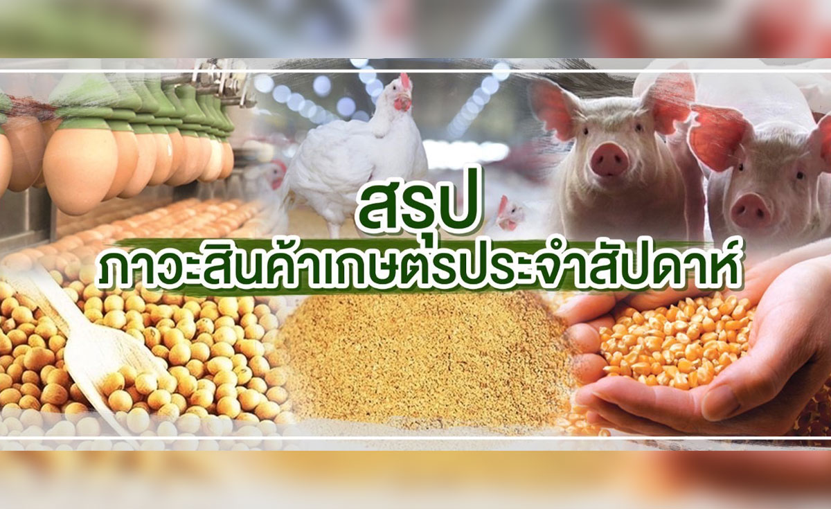 สรุปภาวะสินค้าเกษตรประจำสัปดาห์  วันที่ 28 พฤศจิกายน – 2 ธันวาคม 2565