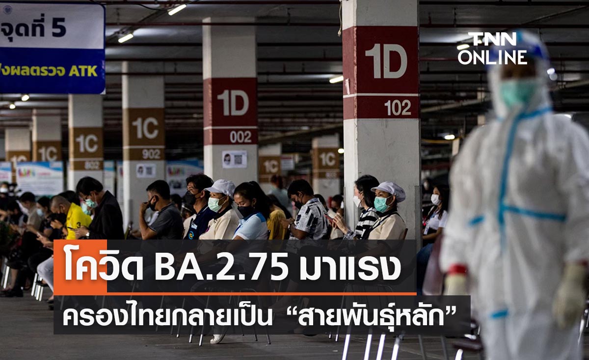 โควิด BA.2.75 มาแรงแซง BA.5 ครองไทยกลายเป็น “สายพันธุ์หลัก”