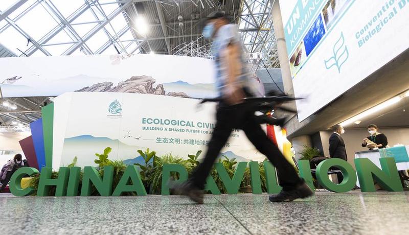 ประธาน COP15 ชี้เป้าหมายอนุรักษ์ 'ความหลากหลายทางชีวภาพ' ของจีนดีกว่าค่าเฉลี่ยโลก