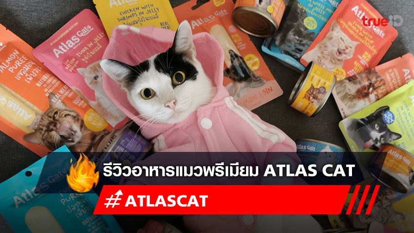 รีวิว อาหารแมว Atlas Cat เพื่อแมวสุขภาพดี เริ่มสิ่งที่ดีที่สุด เริ่มด้วย Atlas Cat
