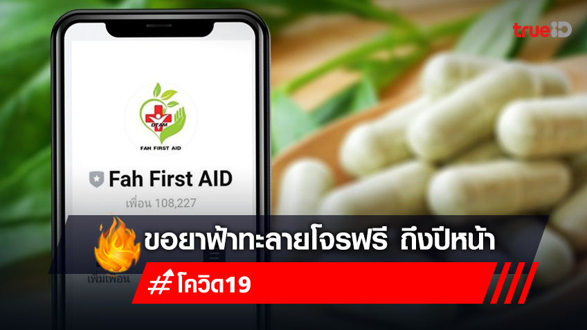 ขอฟ้าทะลายโจร ฟรี กรมการแพทย์แผนไทย แจกฟ้าทะลายโจร ผ่านไลน์ Fah First Aid