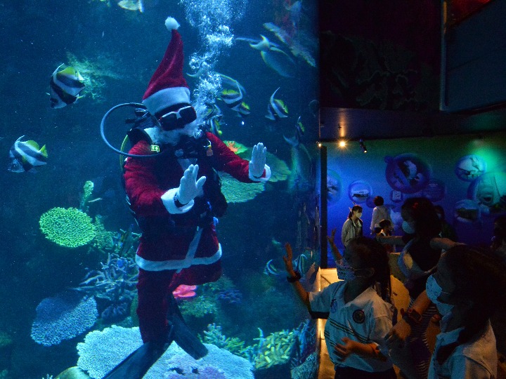 Asia Album : 'ซานตาคลอส' ว่ายน้ำกับฝูงปลา รับคริสต์มาสในกรุงเทพฯ