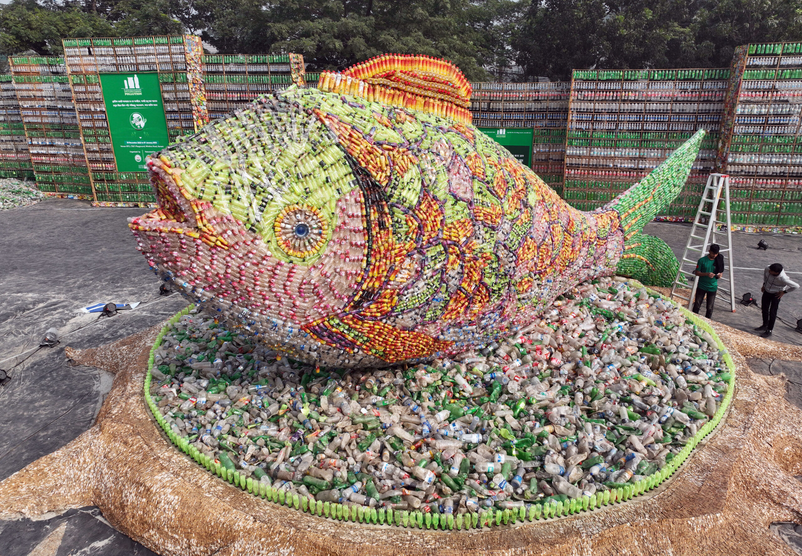 งานศิลป์ติดตั้ง 'ปลายักษ์จากขวดพลาสติก' ในบังกลาเทศ