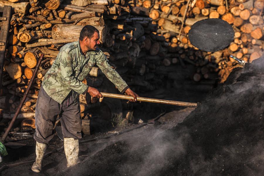 'โรงงานถ่านไม้' แหล่งทำมาหากินของชาวบ้านในอียิปต์