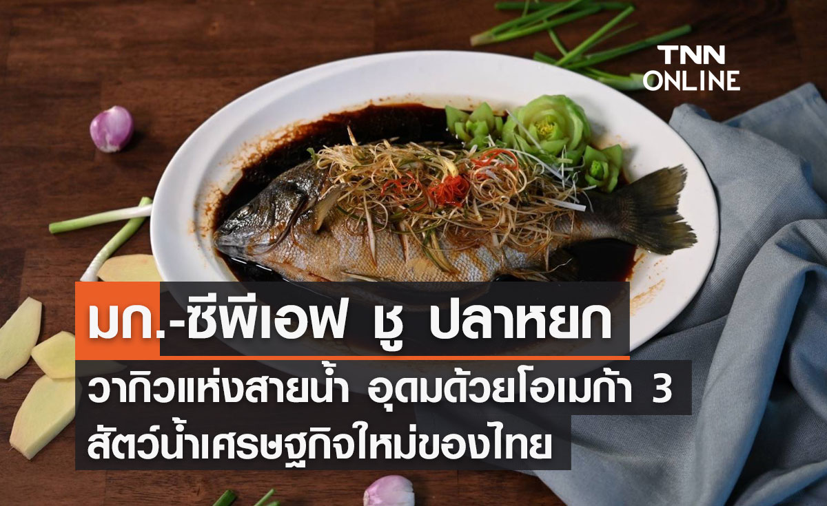 มก.-ซีพีเอฟ ชู “ปลาหยก วากิวแห่งสายน้ำ” อุดมด้วยโอเมก้า 3 สัตว์น้ำเศรษฐกิจใหม่ของไทย