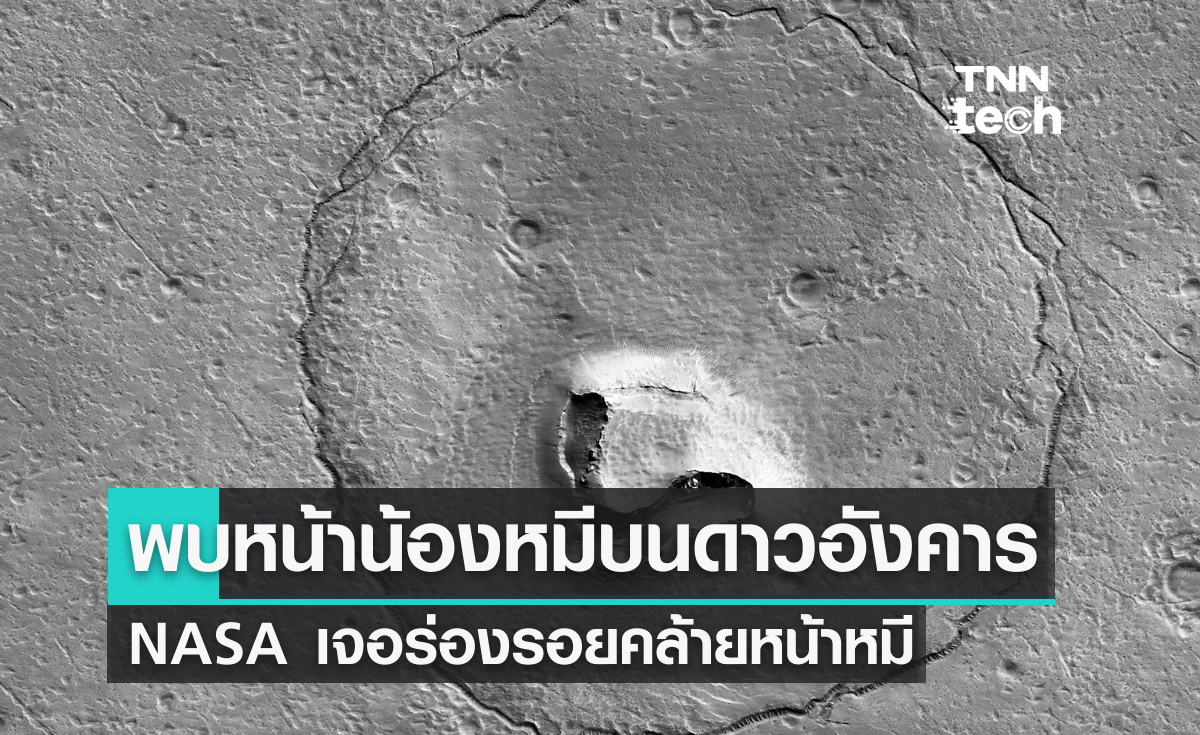 พบหน้าน้องหมีบนพื้นผิวดาวอังคารจากภาพถ่ายของนาซา