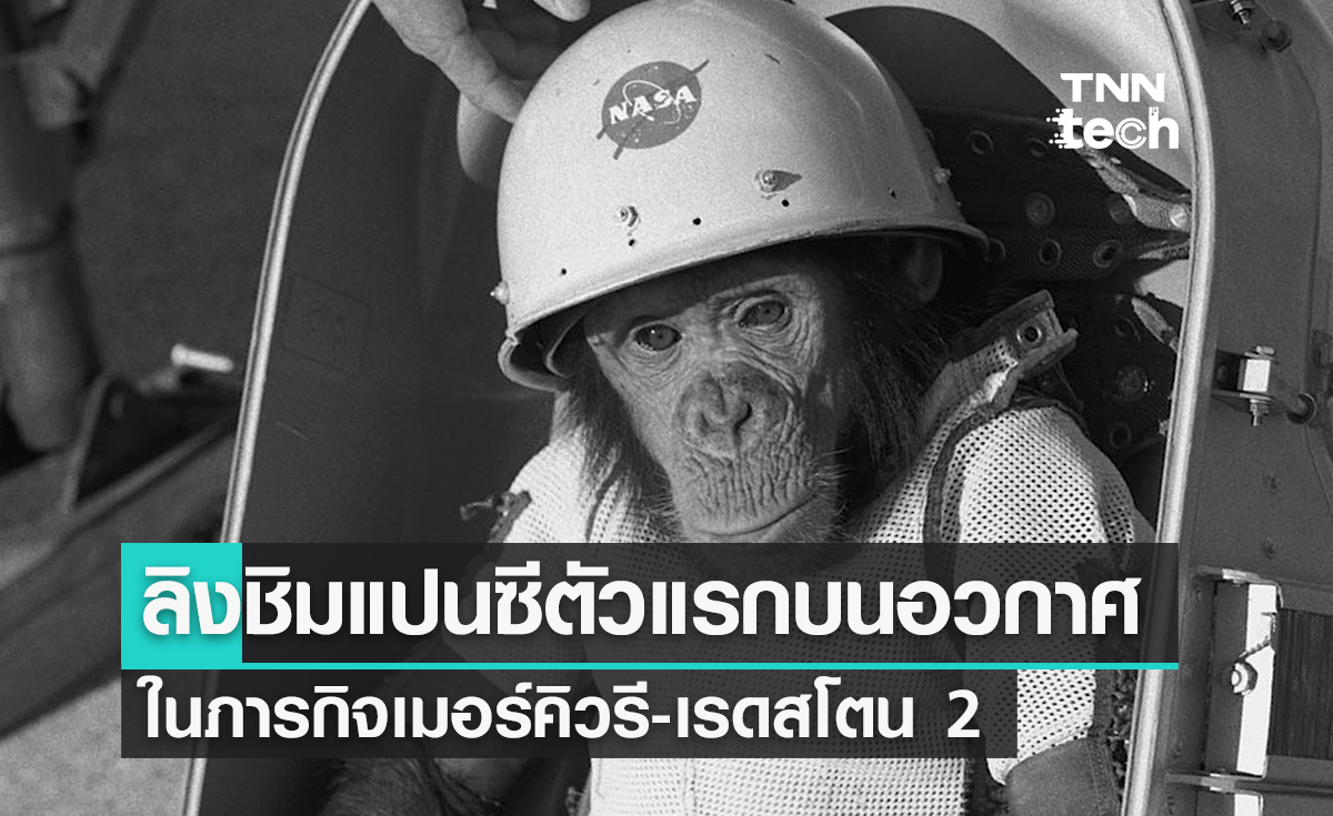 31 มกราคม 1961 สหรัฐฯ ส่งลิงชิมแปนซีตัวแรกขึ้นสู่อวกาศ