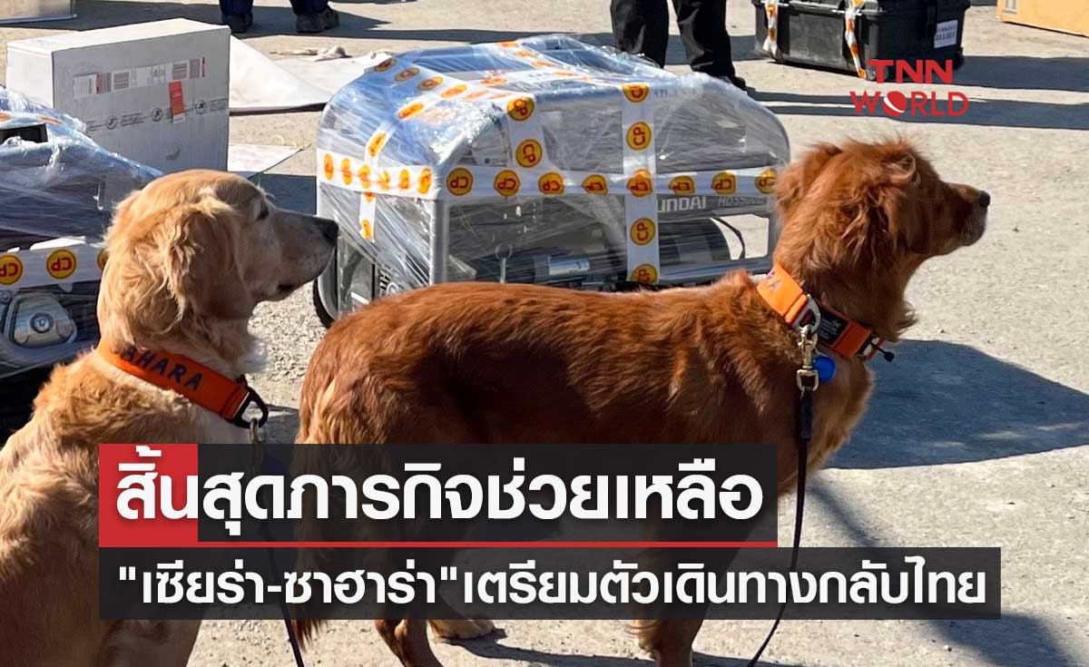 สิ้นสุดภารกิจช่วยเหลือ เปิดภาพ "เซียร่า-ซาฮาร่า" 2 สุนัขกู้ภัย เตรียมตัวเดินทางกลับไทย