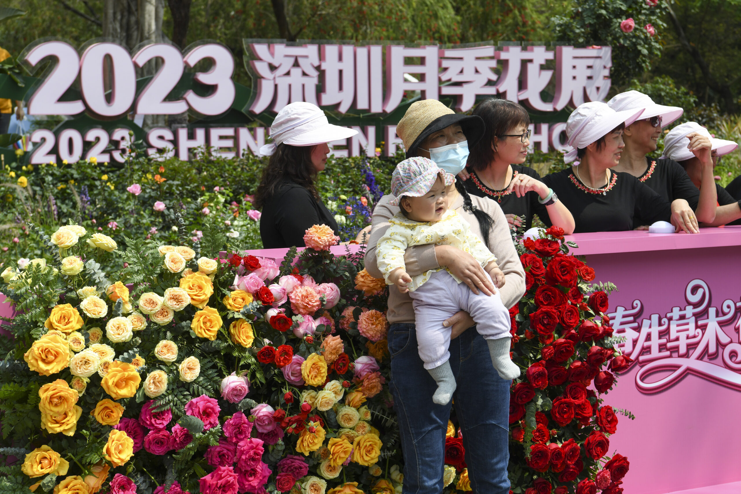 เซินเจิ้นเปิดเทศกาล 'กุหลาบจีน' ประจำปี