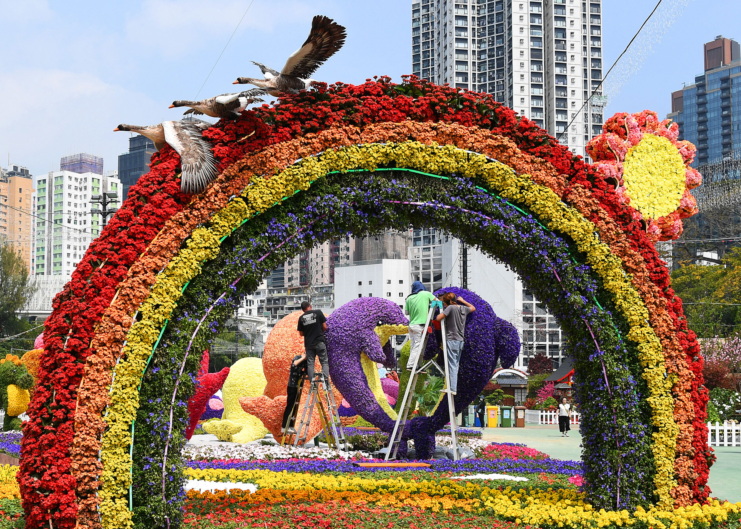 ฮ่องกงจัดเตรียม 'งานแสดงดอกไม้' ประจำปี