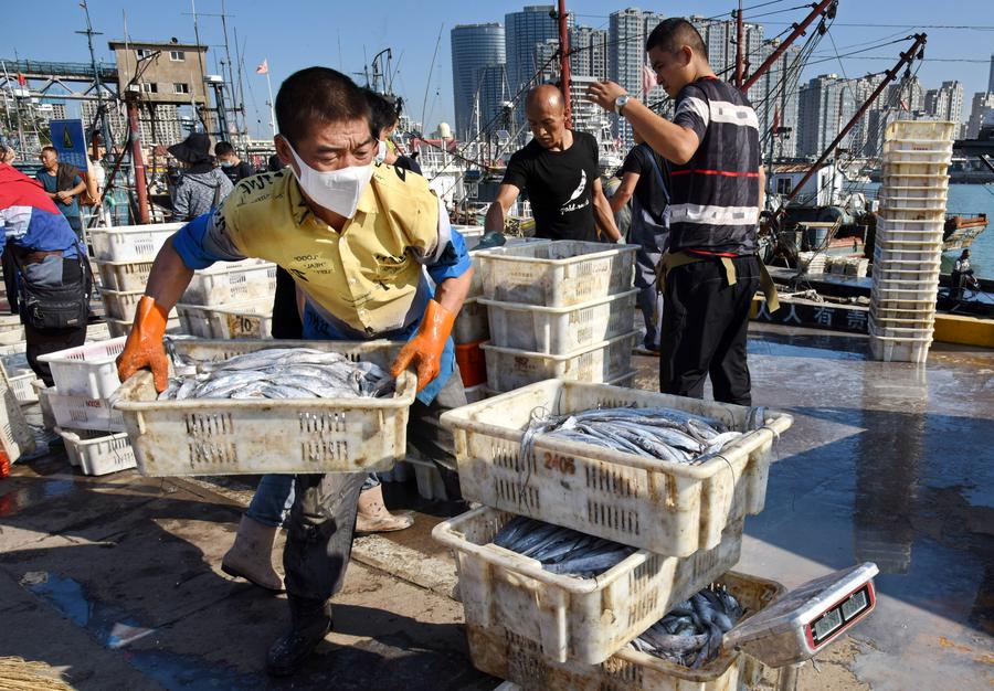 แผ่นดินใหญ่ฟื้นนำเข้า 'ผลิตภัณฑ์ปลา' บางชนิดจากไต้หวัน