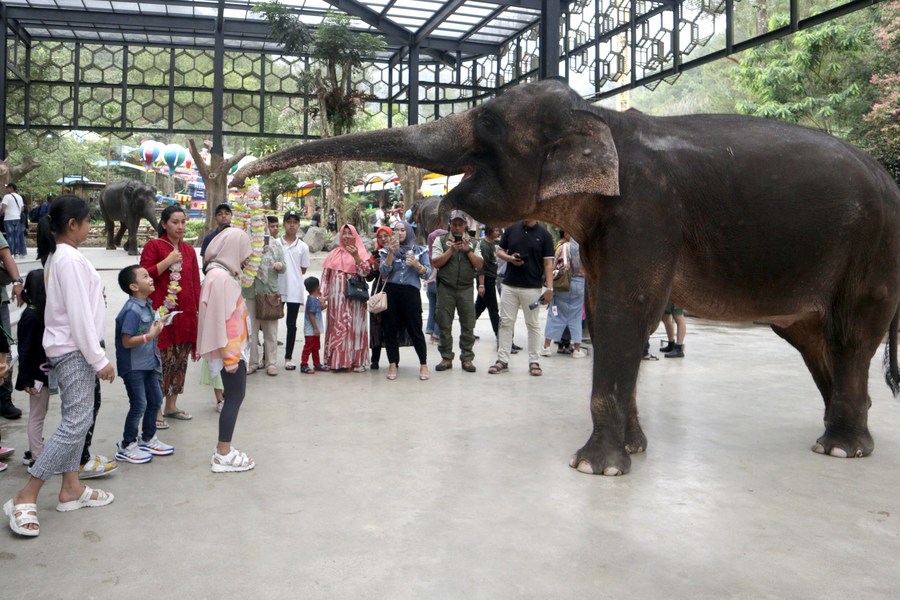 Asia Album: ชาวอินโดฯ เที่ยวสวนสัตว์ฉลอง 'อีดิลฟิตรี'