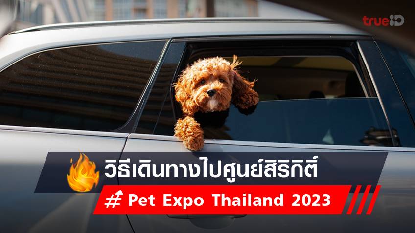 วิธีเดินทางไปงาน Pet Expo Thailand 2023 จัดที่ไหน? ไปยังไง เช็คเลย!