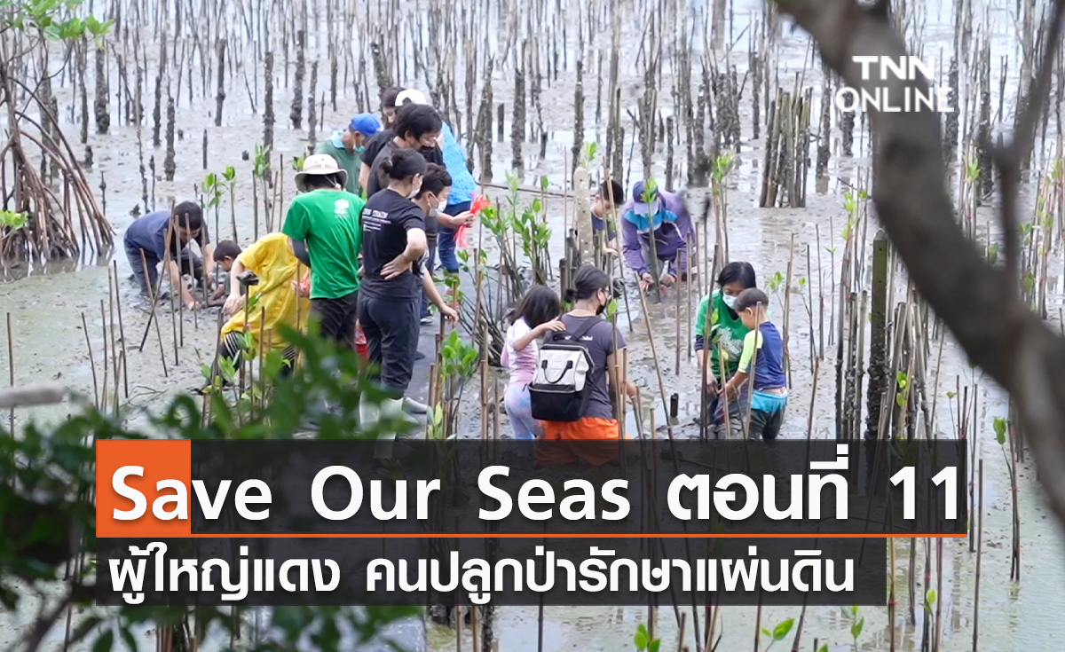 (คลิป) Save Our Seas ตอนที่ 11 ผู้ใหญ่แดง คนปลูกป่ารักษาแผ่นดิน