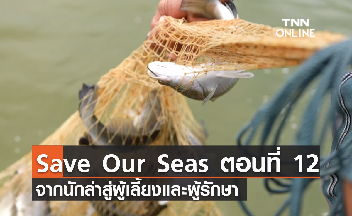 (คลิป) Save Our Seas ตอนที่ 12 จากนักล่าสู่ผู้เลี้ยงและผู้รักษา