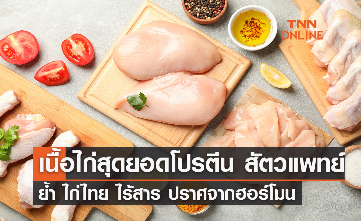 เนื้อไก่ สุดยอดโปรตีน สัตวแพทย์ ย้ำ ไก่ไทย ไร้สาร ปราศจากฮอร์โมน ผลิตตามมาตรฐานสากล