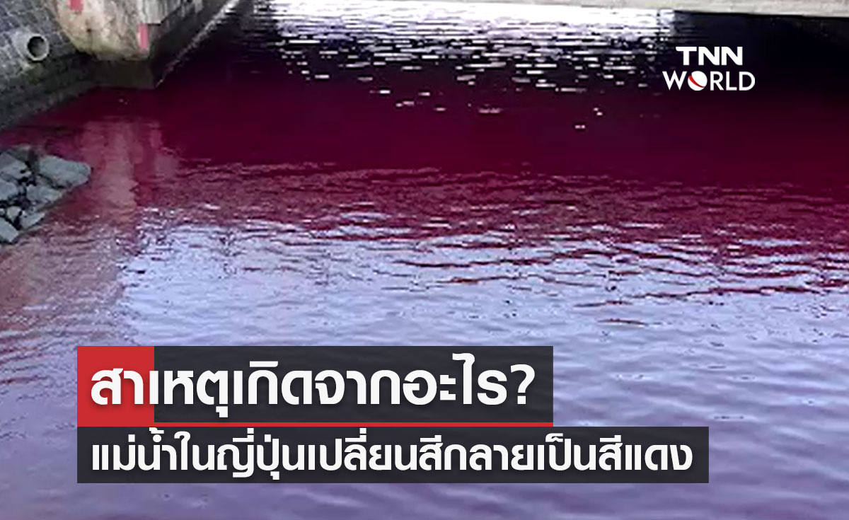 สาเหตุเกิดจากอะไร? เปิดภาพแม่น้ำในญี่ปุ่นเปลี่ยนสีกลายเป็นสีแดง