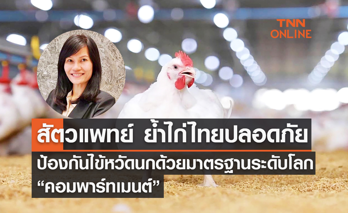 สัตวแพทย์ ย้ำไก่ไทยปลอดภัย ป้องกันไข้หวัดนกด้วยมาตรฐานระดับโลก “คอมพาร์ทเมนต์”