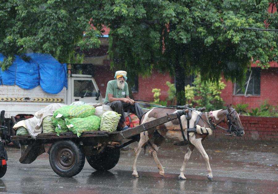 ฝนกระหน่ำรัฐปัญจาบของอินเดีย