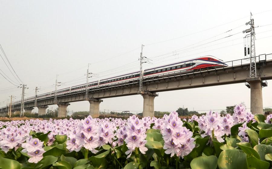 บริการขนส่งผดส. 'ทางรถไฟจีน-ลาว' ใช้เวลาน้อยลง 1 ชั่วโมง