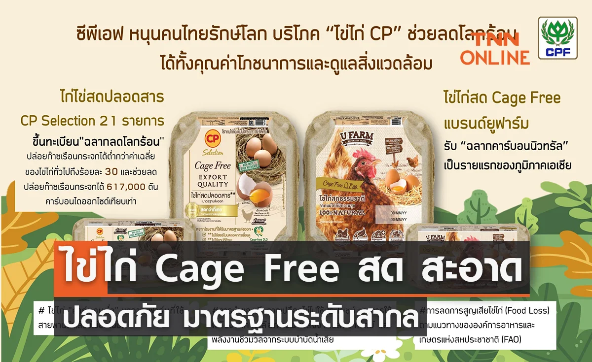 ซีพีเอฟ คัดสรร ไข่ไก่ Cage Free สด สะอาด ปลอดภัย มาตรฐานระดับสากล