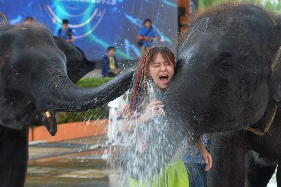 Asia Album : นักท่องเที่ยวเล่นสาดน้ำกับ 'ช้าง' ชุ่มฉ่ำในสวนนงนุช