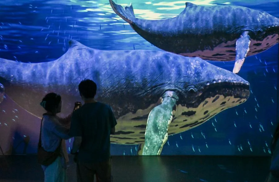 เทคโนฯ ดิจิทัลหนุนท่องเที่ยวเรียนรู้ 'วาฬ' ในเทียนจิน