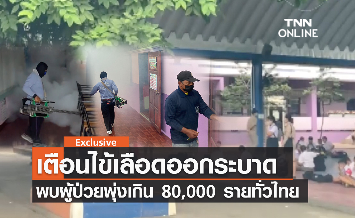 (คลิป) เตือนไข้เลือดออกระบาด พบผู้ป่วยพุ่งเกิน 80,000 รายทั่วไทย