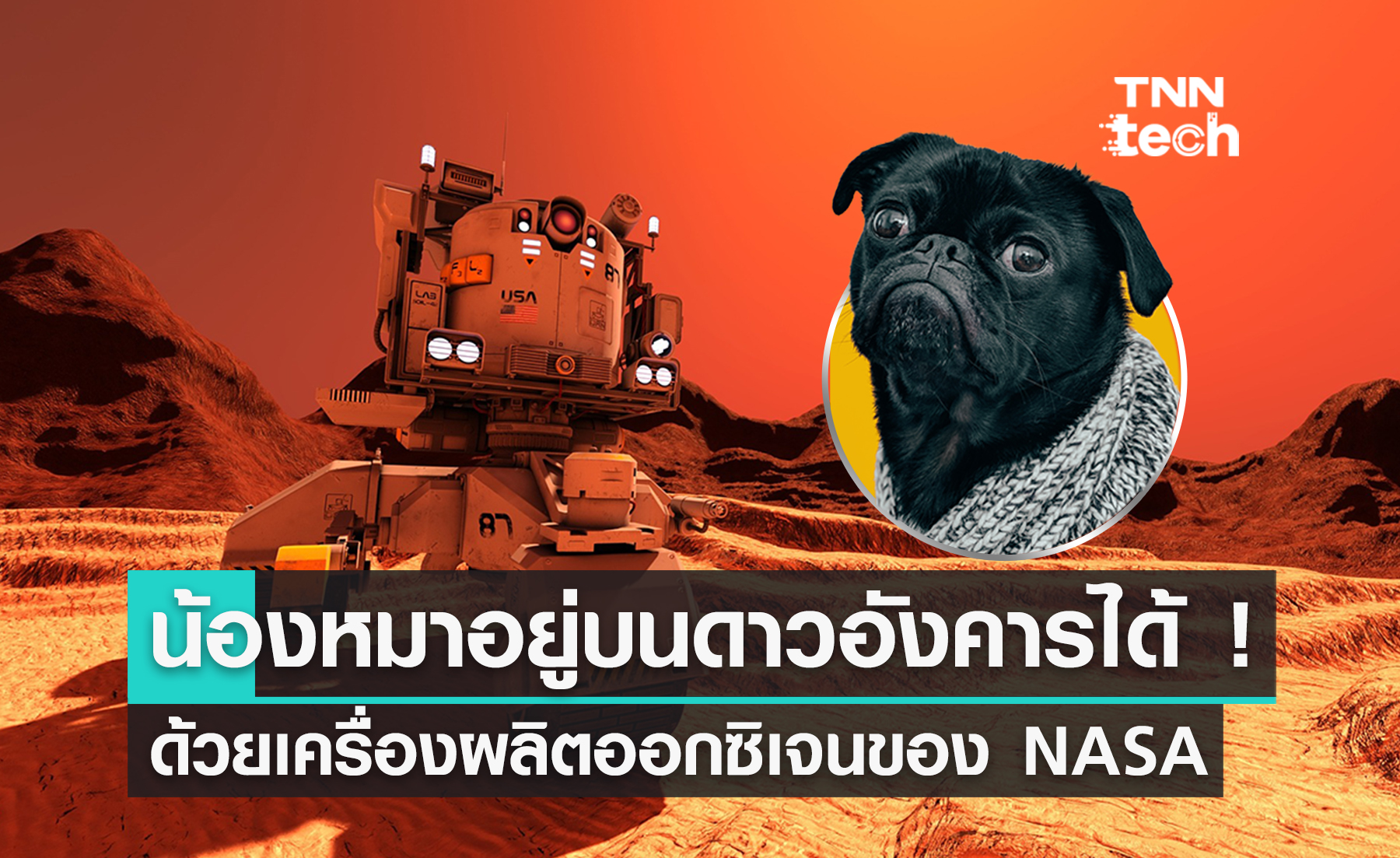 NASA ผลิตออกซิเจนพอให้น้องหมาอยู่บนดาวอังคารได้แล้ว !?