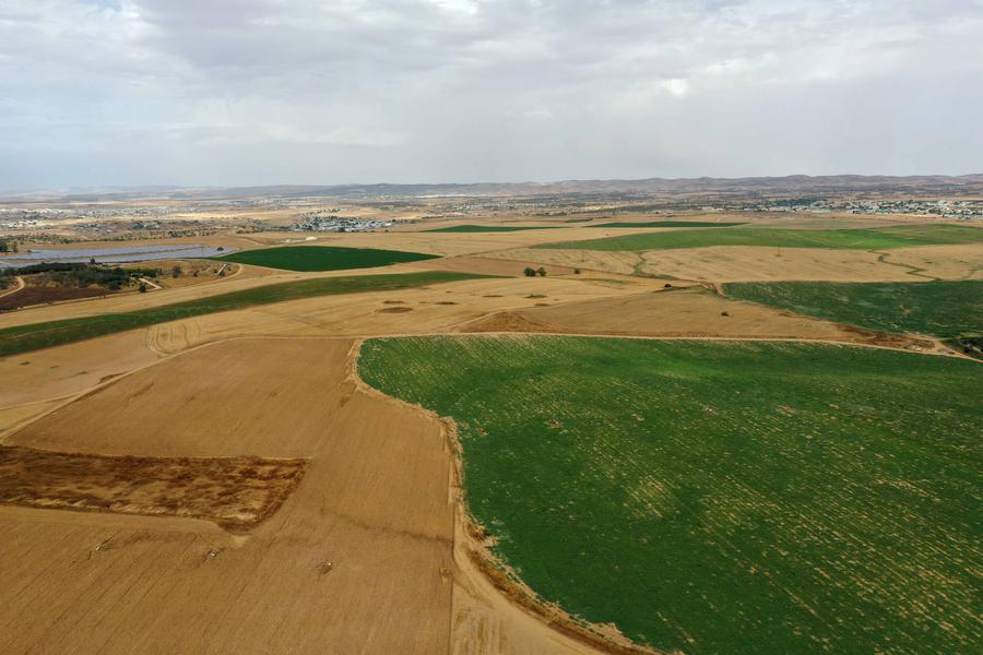 อิสราเอลค้นพบ 'บ้านไร่' เก่าแก่ 1,200 ปี ในทะเลทรายเนเกฟ