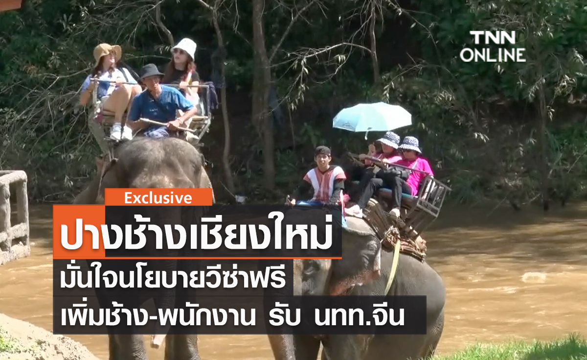 (คลิป) ปางช้างเชียงใหม่ มั่นใจนโยบายวีซ่าฟรี เพิ่มช้าง-พนักงาน รับ นทท.จีน