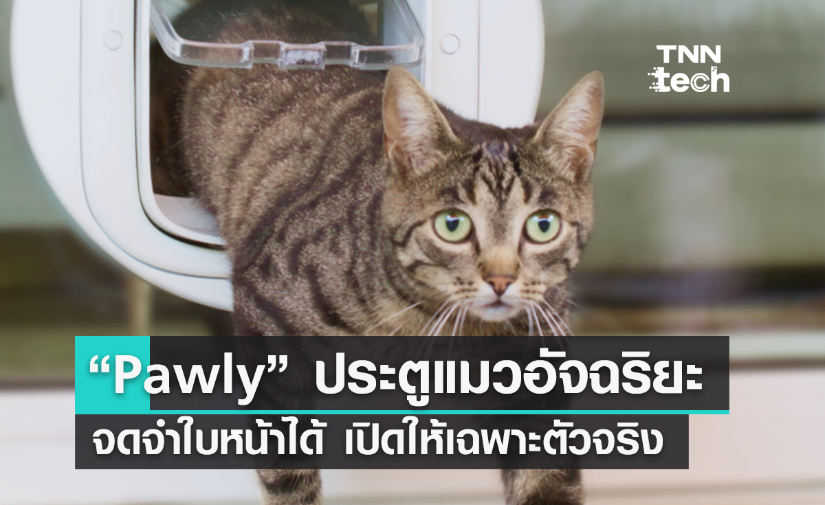 ประตูแมว "Pawly Door" ใช้เทคโนโลยีจำใบหน้าแมวป้องกันผู้บุกรุก