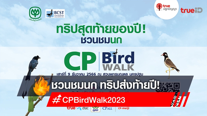 มาแล้ว! กิจกรรมชวนชมนก CP Bird Walk 2023 ทริปสุดท้ายของปี