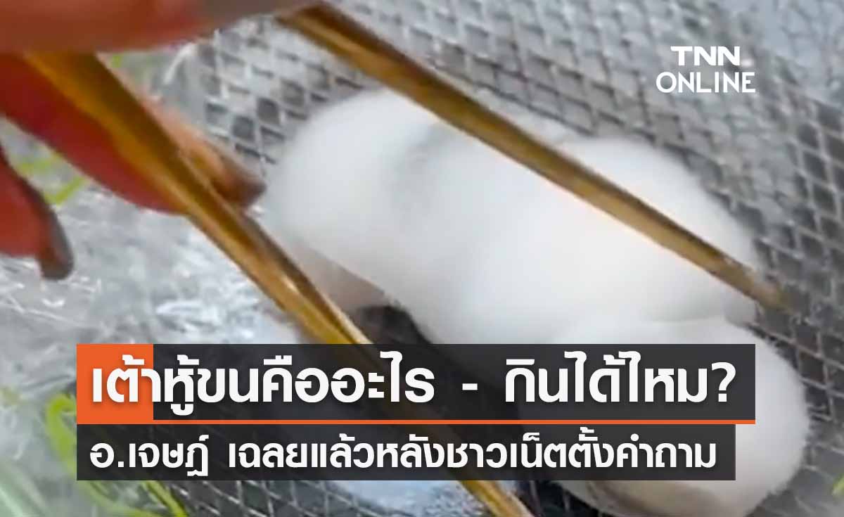 ‘เต้าหู้ขน’ คืออะไร อ.เจษฎ์ ตอบแล้วกินได้จริงหรือไม่ มีอันตรายไหม?