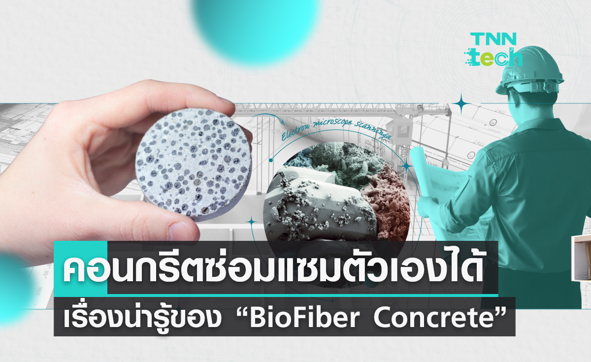 รวมเรื่องน่ารู้ของ “BioFiber Concrete”  คอนกรีตซ่อมแซมตัวเองได้