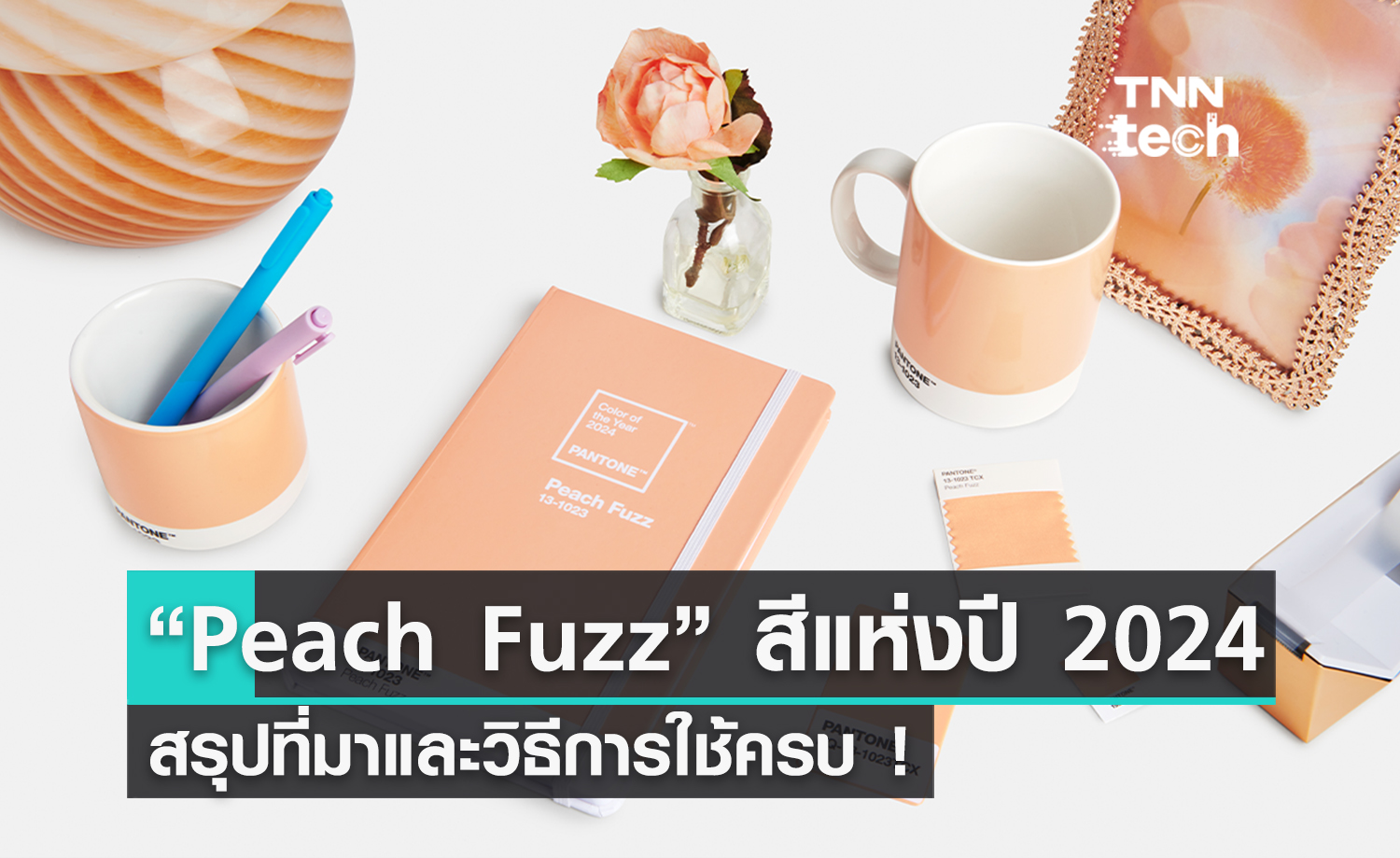 มาแล้ว ! “Peach Fuzz”​ เป็น Color of The Year 2024 สีใหม่ใช้ในปีหน้า มาพร้อมวิธีใช้งานกับทุกการออกแบบ
