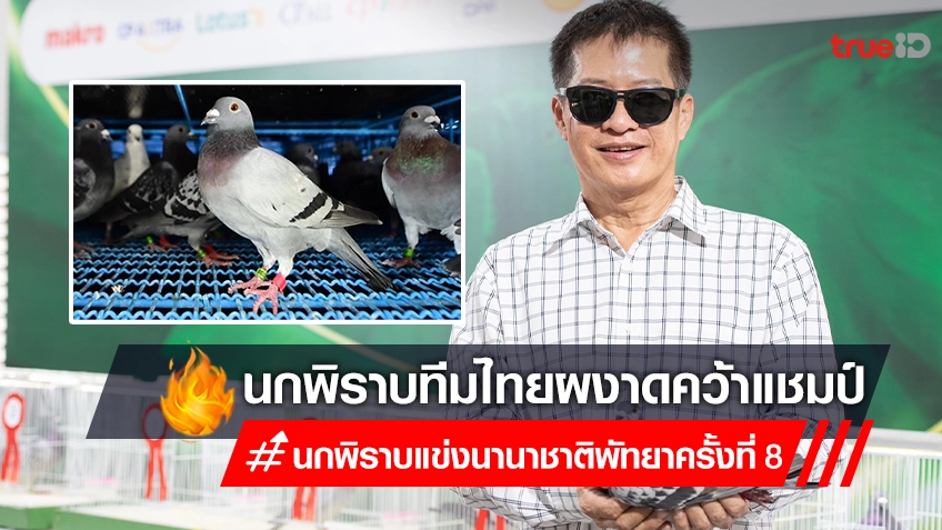 นกพิราบทีมไทย ผงาดคว้าแชมป์การแข่งขัน "นกพิราบแข่งนานาชาติพัทยา ครั้งที่ 8"