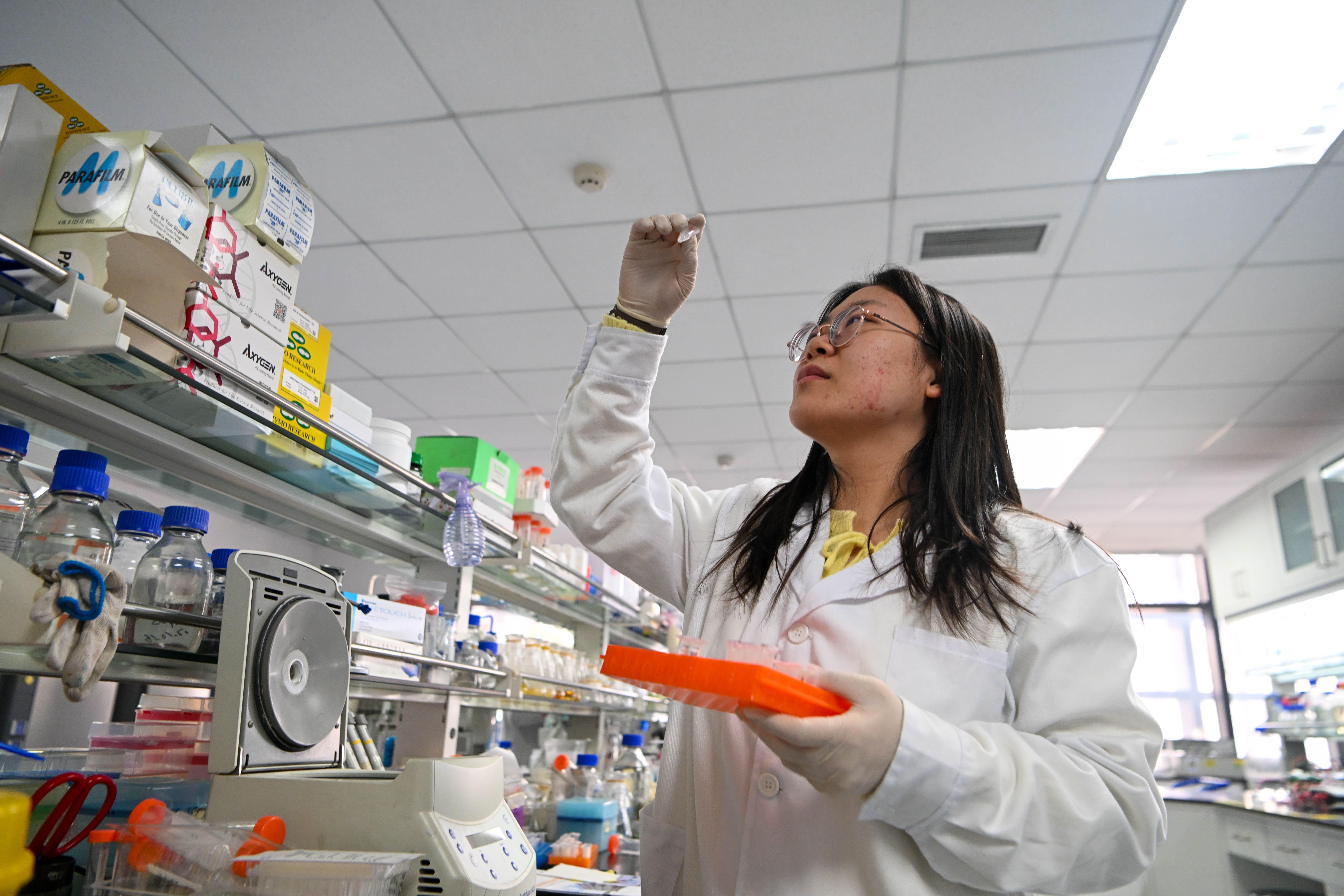 นักวิทย์จีน-สหรัฐฯ พบ 'ยีน' เพิ่มความเสี่ยงป่วย 'มะเร็งเม็ดเลือด'