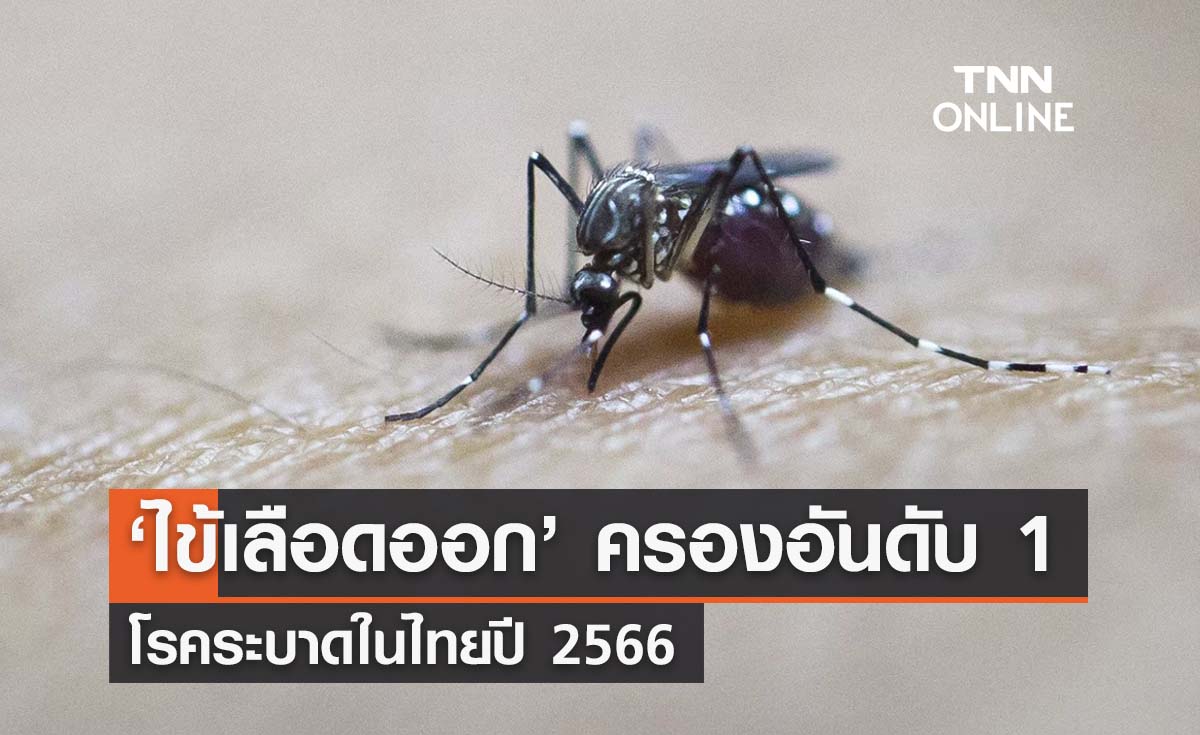 'ไข้เลือดออก' ครองอันดับ 1 โรคระบาดในไทยปี 66