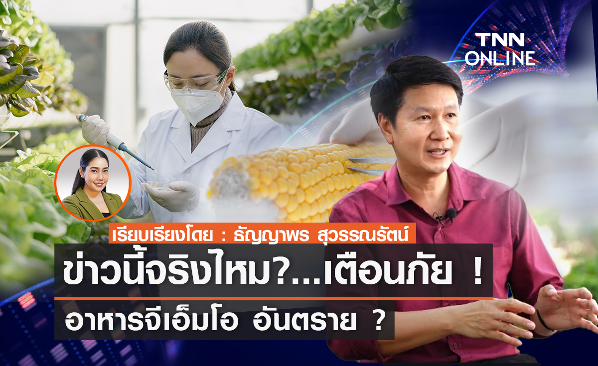 TNN Exclusive ข่าวนี้จริงไหม?... เตือนภัย ! อาหารจีเอ็มโอ อันตราย ?