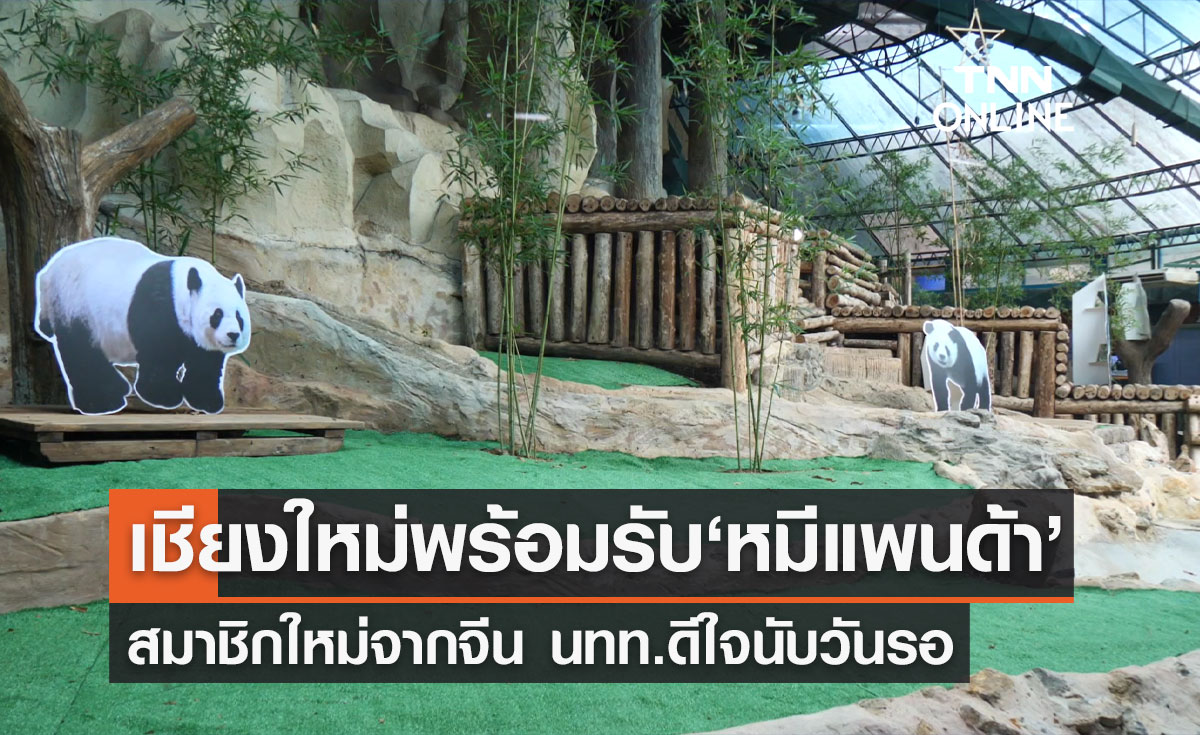 สวนสัตว์เชียงใหม่ พร้อมต้อนรับ "หมีแพนด้า" สมาชิกใหม่จากจีน